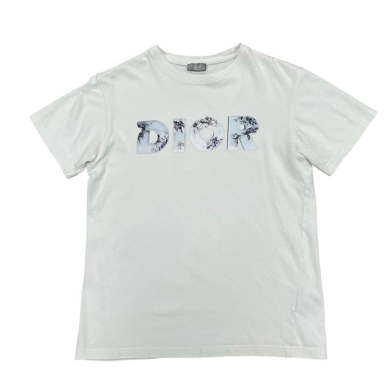 Dior Daniel Arsham Eroded T-shirt